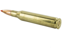 .25-06 Remington